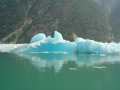 Bergs